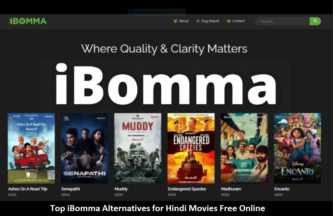Top iBomma Alternatives