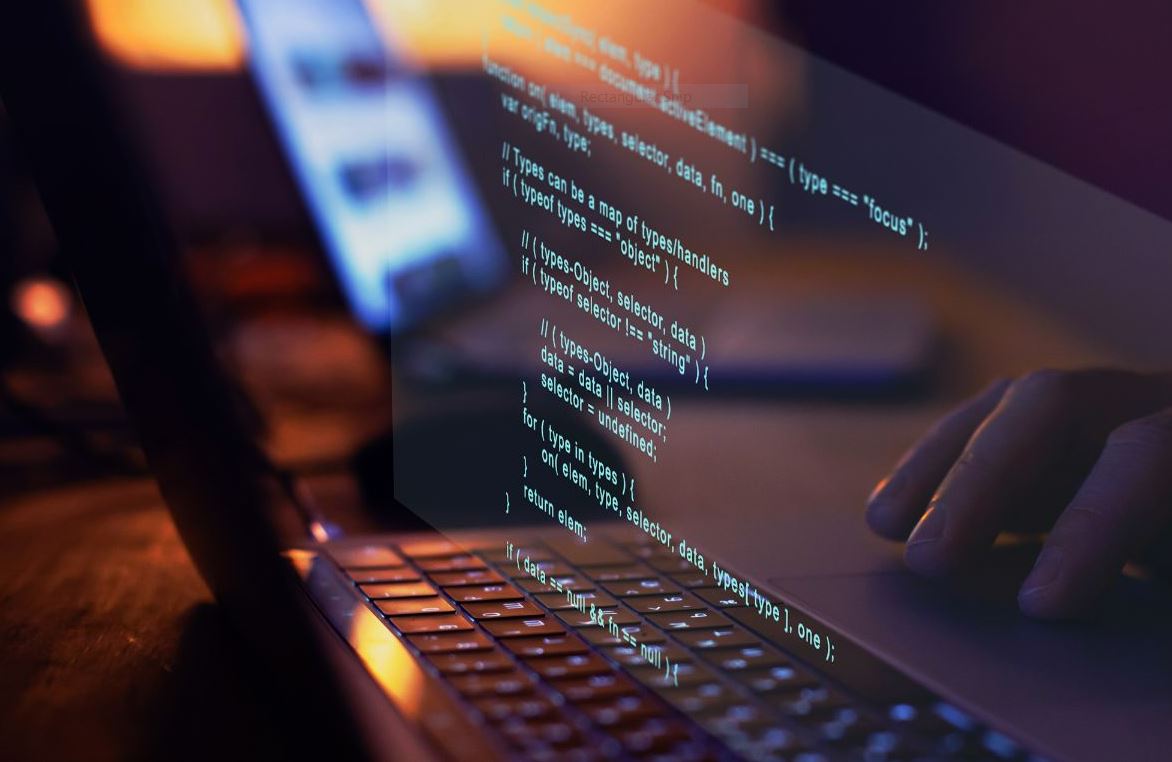 Software Development Firms